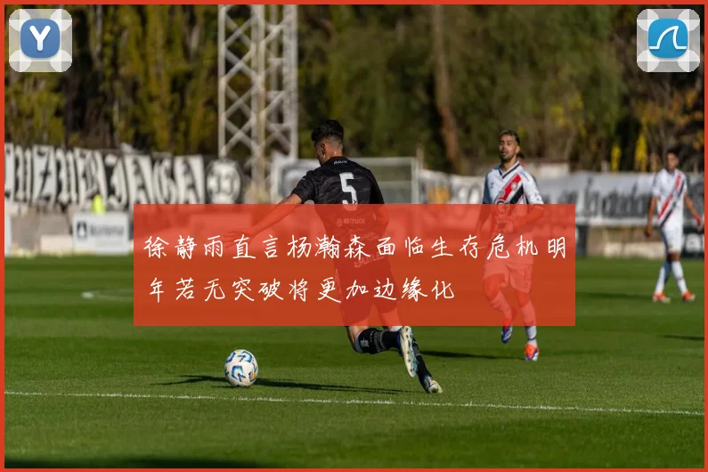 徐静雨直言杨瀚森面临生存危机明年若无突破将更加边缘化